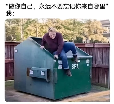 这张梗图上方配有文字“做你自己，永远不要忘记你来自哪里”，下方是一个男人正从绿色垃圾桶里爬出来的照片。图片通过将励志名言与爬出垃圾桶的滑稽画面结合，创造出一种幽默的反差效果，暗示“我”的出身可能并不光彩或比较卑微。