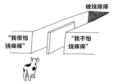 这是一张黑白线稿风格的梗图，画面底部左侧有一头站立的奶牛，奶牛上方有两个相连的矩形块。左侧矩形块内写着“我很怕挠痒痒”，右侧矩形块内写着“我不怕挠痒痒”，图片右上角有文字“被挠痒痒”。整体通过简单的线条和文字对比，营造出轻松幽默的氛围。