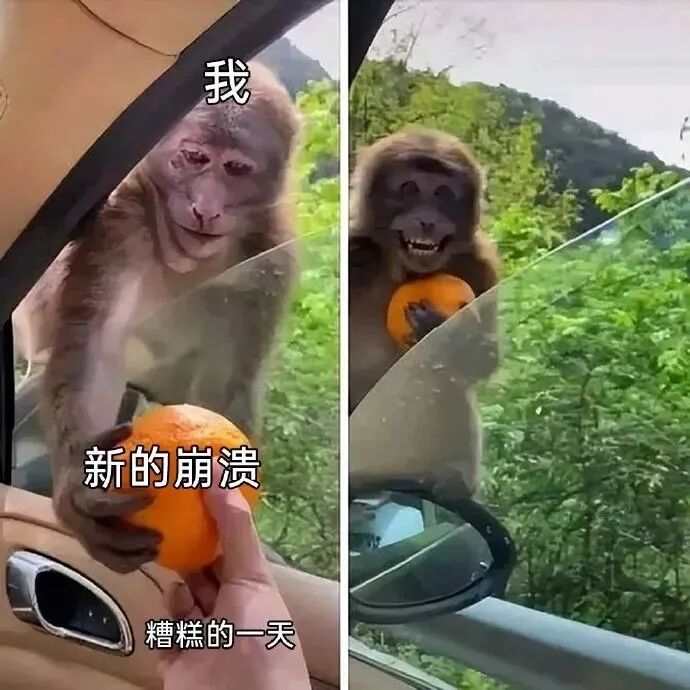 猴子