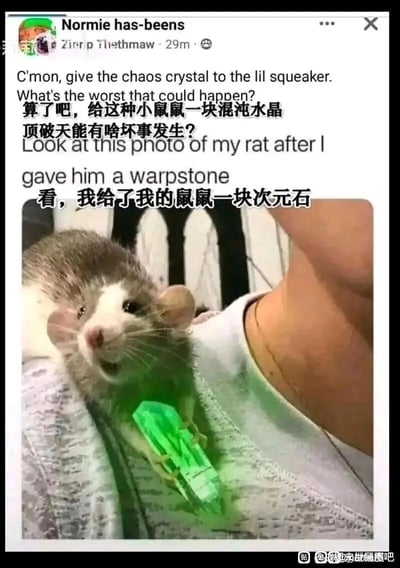 这是一张结合战锤系列游戏设定的搞笑网络迷因图，模仿社交媒体发帖的形式呈现。内容先以反讽的语气提出“给小鼠鼠一块混沌水晶能有什么坏事发生”，随后展示了一只抱着绿色发光“次元石”的宠物鼠，这只老鼠眼睛一大一小、嘴巴张开，表情怪异魔性。结合战锤设定里次元石蕴含混沌能量、接触后会带来变异腐化的危险属性，形成强烈的反差搞笑效果，将宠物鼠的可爱形象与混沌设定结合，在战锤爱好者和宠物爱好者群体中传播，充满趣味。