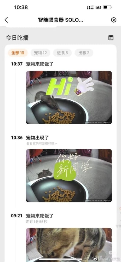这是一张手机界面截图，内容是PETKIT品牌智能喂食器配套APP的“今日吃播”记录页面，该功能原本用于记录家养宠物的进食情况。页面显示9点21分的进食记录是主人饲养的猫咪正常吃猫粮，而10点36分、10点37分的两条记录里，摄像头拍到了野生老鼠闯入食盆区域偷吃猫粮，系统还自动为这两条“非宠物”的记录匹配了“你好新同学”“Hi”的友好可爱贴纸，原本为宠物设计的功能记录到不速之客的画面，形成强烈的反差感，十分滑稽。