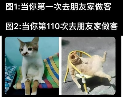 这是一张左右对比的搞笑梗图，通过两只猫的不同状态来幽默展现第一次去朋友家做客和第110次去朋友家做客的反差。左边图1中，一只猫端正地坐在彩色垫子上，眼神警惕，姿态拘谨，代表第一次做客时的小心翼翼；右边图2中，另一只猫四仰八叉地躺在黄色椅子上，姿态十分放松随意，代表多次做客后完全不拘束的状态。
