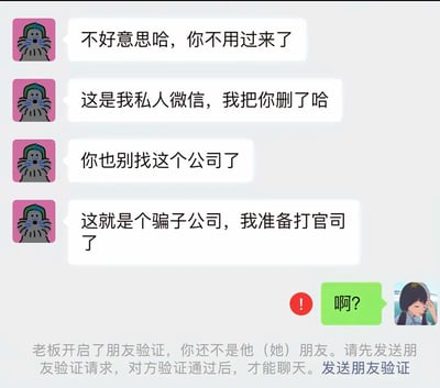 这是一张微信聊天记录的静态截图，对话双方为头像是戴绿帽子卡通猫的用户（疑似涉事公司内部人员）和头像是卡通女生的求职者。前者连续发送四条消息，先是告知求职者不用前往公司，说明要删除私人微信好友，接着提醒求职者不要选择该公司，揭露其为骗子公司，自己已准备通过打官司维权；求职者回复表示疑惑的“啊？”后，立刻收到微信系统提示，显示已被对方删除好友，需要发送验证请求才能继续聊天。该截图展现了求职过程中，求职者意外得到内部人员提醒，避开骗子公司的场景，也揭露了不良求职陷阱的存在。