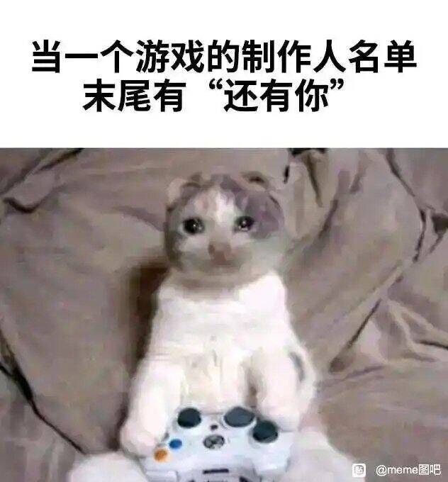 网络流行meme