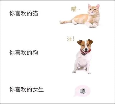 图片分为三个横向板块，通过文字与图像的对比制造幽默效果。第一板块左侧文字为“你喜欢的猫”，右侧是一只橘色猫咪躺卧着，上方配有“喵~”的叫声；第二板块左侧文字“你喜欢的狗”，右侧为一只棕白相间的狗坐姿吐舌，上方标注“汪！”；第三板块左侧文字“你喜欢的女生”，右侧仅有一个粉色对话气泡，内写“嗯”。通过猫狗有具体形象和声音，而女生仅用模糊回应的对比，调侃对喜欢女生的难以描述或捉摸不定。
