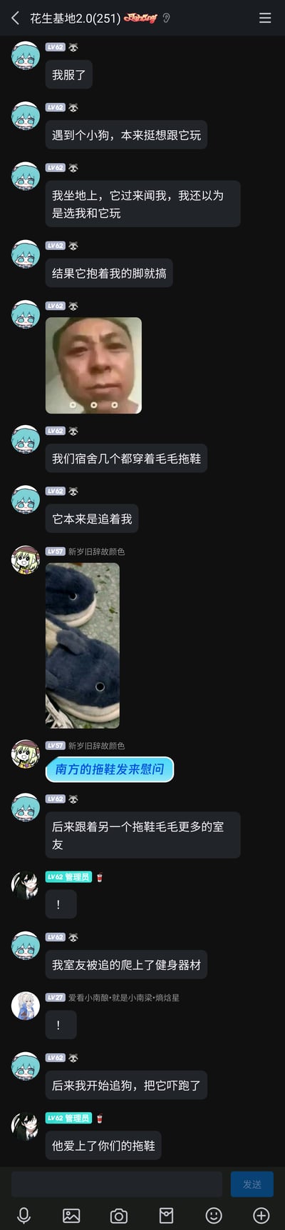 这是一张竖屏的社交群聊截图，群名为“花生基地2.0(251)”。群内LV62、头像为初音未来的用户分享了自己的搞笑经历：他遇到一只小狗，原本想和小狗玩耍，坐下后小狗过来闻他，他以为小狗要和自己玩，结果小狗抱着他的脚做出骑跨动作；因为宿舍成员都穿毛毛拖鞋，小狗转而追毛毛更多的室友，把室友逼得爬上健身器材，最后用户追狗将其吓跑。过程中用户还发了一张无奈表情的真人表情包，LV57的用户发了深蓝色毛毛拖鞋的图片并配文“南方的拖鞋发来慰问”，管理员和其他成员用感叹号和调侃的话语回应，整个聊天记录充满趣味，展现了生活中的搞笑小插曲。