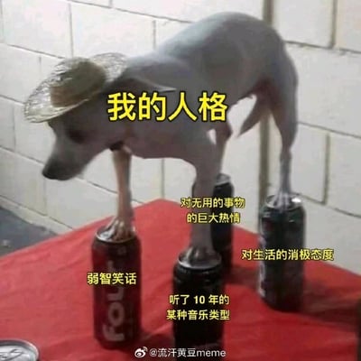 这是一张自嘲风格的网络梗图，以一只戴着草帽、四只脚分别踩在四个饮料罐上勉强维持平衡的狗狗来象征“我的人格”，并为每个支撑狗狗的饮料罐标注了人格的组成部分：对应左脚的罐子是“弱智笑话”，对应右脚前掌的罐子是“听了10年的某种音乐类型”，对应右脚后掌的罐子是“对无用的事物的巨大热情”，对应左脚后掌的罐子是“对生活的消极态度”。该图用幽默的方式调侃当代年轻人的人格特质，将看似矛盾的生活状态组合在一起，精准引发共鸣。
