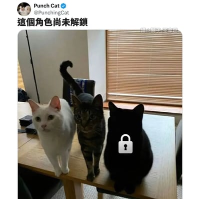 这是一张发布在Twitter（X）上的趣味梗图，由账号Punch Cat创作并被翻译成中文分享。画面中三只猫咪位于木质桌面上，左侧是一只面向镜头、表情平静的白色猫咪，中间是一只同样直视镜头的狸花猫，右侧是一只背对着镜头的黑色猫咪，黑猫的背部被添加了一个白色的锁形图标。图上方配文“这个角色尚未解锁”，将黑猫类比为游戏中还未解锁的角色，把现实猫咪和游戏设定结合，制造出反差萌的搞笑效果，右上角的翻译标注显示该内容被译为中文传播。