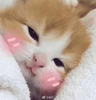 图片为一只橘白相间的小奶猫特写，它正慵懒地躺卧在柔软的白色毛巾上。小猫眼睛半睁，眼神柔和放松，脸颊两侧被添加了粉色腮红特效（三条横向线条），更凸显出娇憨可爱的模样。整体画面温暖治愈，充满萌感，让人忍不住心生喜爱。