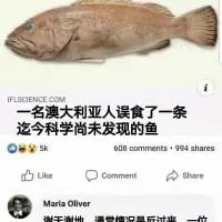 这是一张海外社交媒体的截图，图中展示了一条外形普通的褐色鱼类，配文称“一名澳大利亚人误食了一条迄今科学尚未发现的鱼”，内容下方显示有9k点赞、658条评论、944次分享，还有用户Maria Oliver评论“澳媒这标题我是真服”，整体是网友针对这条离谱的新闻标题进行调侃，没有双关、谐音梗等内容。