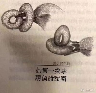 这是一张黑白视觉错位梗图，包含上下两个逻辑相同的图案，图案利用视觉错觉形成双重视觉效果：既可以被解读为鸟的头部与喙部叼着两个甜甜圈，也可以被看作是两个甜甜圈的组合造型。图中配有文字“譯: 好色龍”和“如何一次拿兩個甜甜圈”，用一本正经的文字配合视觉错觉制造趣味，看似在介绍拿甜甜圈的方法，实际是通过双重视觉呈现来打造搞笑的梗，右下角带有微博用户“@没品图”的水印。