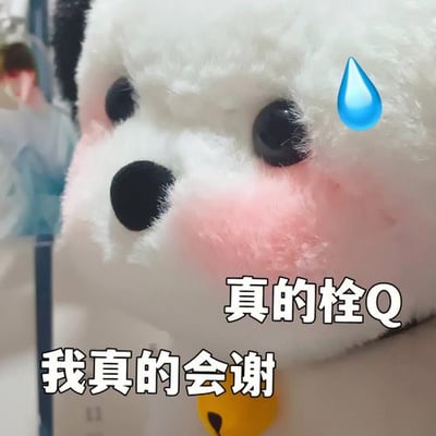 这是一张网红帕恰狗毛绒玩偶制作的表情包，画面为帕恰狗的脸部特写，白色毛绒搭配粉红腮红，黑亮圆眼睛，额头右侧添加了蓝色的流汗水滴emoji，下方配文“真的栓Q 我真的会谢”，用来抒发遇到无语、让人尴尬的事情时无奈又想吐槽的心情，“栓Q”谐音“谢谢”，在这里带反讽无奈的情绪。