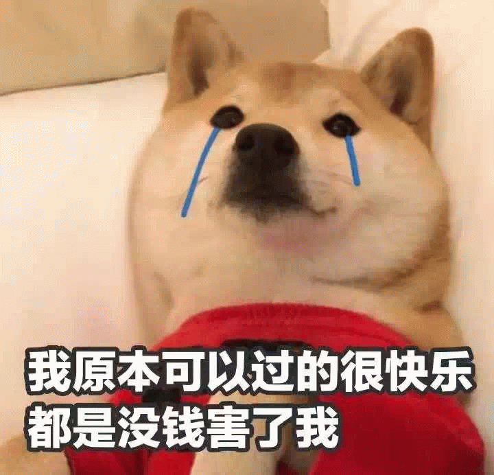 流泪柴犬的金钱烦恼