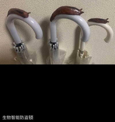 图片展示了三把挂在墙边的透明/白色雨伞，每把雨伞的弯柄上都趴着一只蛞蝓（鼻涕虫），图片下方配有黑色背景的白色文字“生物智能防盗锁”。这个梗利用大众对蛞蝓这类软体动物的抵触心理，脑洞大开地调侃用蛞蝓作为雨伞的“防盗锁”——因为没人愿意触碰爬有蛞蝓的雨伞，以此达到防止雨伞被盗的效果，充满了搞笑和无厘头的趣味。