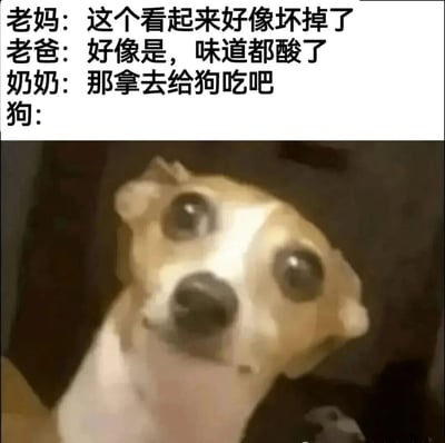 图片上半部分为家庭成员对话文本：老妈说“这个看起来好像坏掉了”，老爸接着说“好像是，味道都酸了”，奶奶提议“那拿去给狗吃吧”，最后“狗：”之后留白。下半部分是一只棕白相间的小狗特写，它睁着又大又圆的眼睛抬头注视，表情看起来既惊讶又带着一丝困惑。整体通过家庭成员与狗狗的“对话”反差，幽默展现了生活中长辈常把剩余或变质食物喂给宠物的常见场景，小狗的无辜表情放大了这种诙谐感。