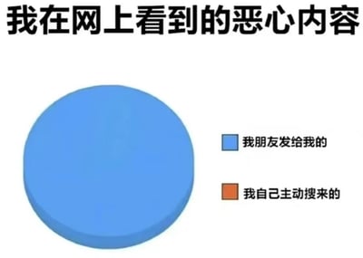 一张幽默讽刺类梗图，顶部文字为“我在网上看到的恶心内容”，下方左侧是一个占据绝大部分画面的蓝色圆形，右侧标注两个图例：蓝色方块对应“我朋友发给我的”，橙色方块对应“我自己主动搜来的”。通过夸张的比例对比，暗示人们看到的恶心内容大多来自朋友分享，而自己主动搜索的部分极少，以此调侃网络社交中常见的“甩锅”朋友的现象。
