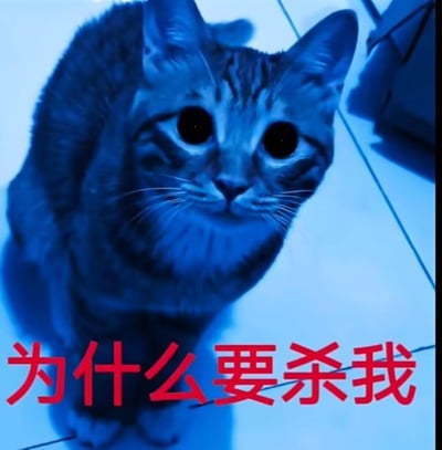 这是一张经过P图改编的网络表情包，主体是一只处于蓝色冷光环境下的真实狸花猫，它的眼睛被修改为全黑色，神态看起来惊恐又无辜。图片下方搭配醒目的红色文字‘为什么要杀我’，整体营造出一种委屈、害怕的氛围，适合在聊天中用来表达自己被误解、无端指责时的无辜与恐慌情绪，图中没有双关、谐音梗或暗示内容。