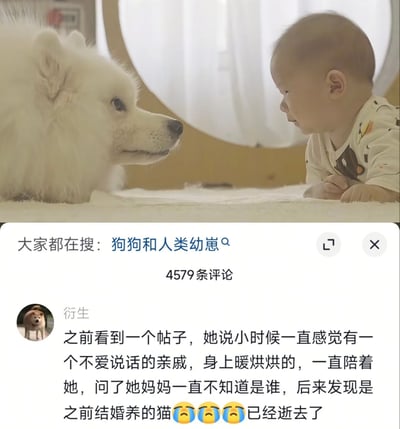 这张内容分为上下两个部分，上半部分是实拍的生活场景图，毛发雪白的萨摩耶犬趴在柔软的白色垫子上，和对面同样趴着的人类幼崽面对面温柔对视，整体氛围干净治愈。下半部分是社交平台的评论区截图，顶部显示相关搜索提示为“狗狗和人类幼崽”，该内容共有4579条评论，热门评论来自用户“衍生”，他分享了一则感人的小故事：有网友回忆小时候总感觉身边有个不爱说话、身上暖烘烘的亲戚一直陪着自己，询问母亲也不知道对方是谁，长大后才想起那是家里早年饲养的、如今已经逝去的猫，评论末尾搭配了三个流泪的表情，内容十分戳中人心。