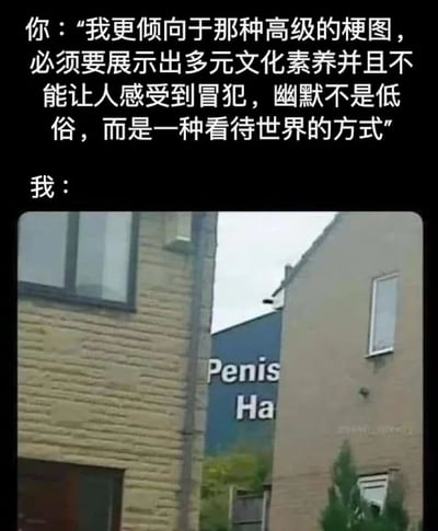 图片上半部分为黑色背景白色文字，内容是“你：‘我更倾向于那种高级的梗图，必须要展示出多元文化素养并且不能让人感受到冒犯，幽默不是低俗，而是一种看待世界的方式’”，下半部分为“我：”引导的一张实景照片，照片中两栋建筑之间露出蓝色招牌的部分文字“Penis Ha”，形成强烈反差幽默。通过上方对“高级梗图”的严肃定义与下方看似低俗（实为招牌部分截取）的图片回应，制造讽刺效果。