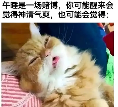 图片上方配有文字'午睡是一场赌博，你可能醒来会觉得神清气爽，也可能会觉得：'，下方是一只橘白相间的猫咪，它躺在粉色条纹的表面上，眼睛半闭，嘴巴微张，表情显得昏沉迷茫，仿佛刚睡醒却仍感困倦，生动形象地表现了午睡后可能出现的疲惫状态，通过猫咪的可爱模样与文字形成幽默共鸣。