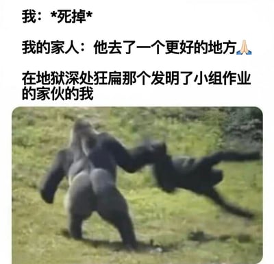 这张梗图上方是文字内容，下方是一张动物打斗照片。文字内容以幽默夸张的方式表达了学生对小组作业的强烈不满："我: *死掉* 我的家人: 他去了一个更好的地方🙏 在地狱深处狂扁那个发明了小组作业的家伙的我"。下方照片显示一只大猩猩正愤怒地挥拳猛击一只黑猫，黑猫被打得飞起，生动形象地表现了文字中