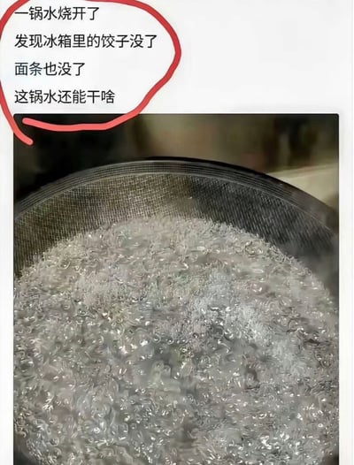 这是一张搞笑生活梗图，采用图文混排形式，下半部分是实拍的一锅正处于沸腾状态、布满密集气泡的开水，上半部分用红色线圈标注了一段文字，内容为“一锅水烧开了，发现冰箱里的饺子没了，面条也没了，这锅水还能干啥”，搭配标题给出的无厘头解决方案“赶紧冻起来，下次口渴了，解冻加热就能喝”，用不符合常理的搞笑思路调侃生活中临时出现计划变动的小窘境，制造出荒诞的幽默感。