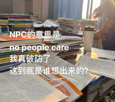 图片展示了一张堆满各类 textbooks 和学习资料的书桌，阳光透过窗户洒在桌面上，右侧隐约可见一个人的手臂。画面中央叠加了白色文字：“NPC的意思是 no people care 我真破防了 这到底是谁想出来的？”，通过将游戏术语“NPC”（非玩家角色）谐音曲解为“no people care”（没人在乎），以幽默方式表达学生在繁重学业压力下的自嘲与无奈情绪。