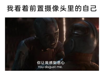 这是一张自嘲类的网络梗图，采用图文混排的形式呈现。画面上方配有文字“我看着前置摄像头里的自己”，下方是截取的漫威电影《复仇者联盟4：终局之战》中的场景：角色星云愤怒地抓住另一个角色，眉头紧皱、眼神充满嫌弃，画面配文“你让我感到恶心”以及对应的英文翻译“You disgust me.”。整张图用星云对他人的厌恶情绪，来调侃很多人在看到前置摄像头里的自己时，因为对成像效果不满意而产生的自我嫌弃、嫌弃的情绪，是一种幽默的日常自嘲表达，容易引发网友的共鸣。