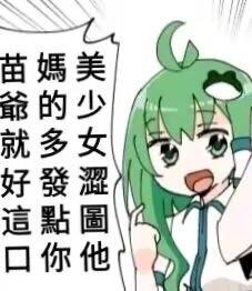 这是一张基于东方Project角色东风谷早苗创作的二次改编梗图，图中绿发的东风谷早苗摆出激动亢奋的神态，大张着嘴，旁边的竖排对白气泡写着「美少女涩图他妈的多发点 苗爷就好这口」。原本设定中正经的神社巫女形象，说出如此直白接地气的诉求，形成强烈的反差感，制造出搞笑诙谐的效果，多用于在二次元社群中表达想要获取更多美少女相关涩图的诉求。