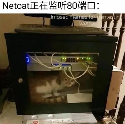 这是一张面向信息安全从业者的搞笑梗图，画面主体是一个装有网络交换机的黑色机柜，机柜内部的设备下方躲着一只棕白相间的猫咪，猫咪周围缠绕着连接设备的网线，交换机的指示灯亮着，呈现出正在工作的状态。图片上方用中文标注“Netcat正在监听80端口：”，右上角的英文文字意为“给渗透测试团队的信息安全梗图”，底部带有微博博主“@X岛揭示板”的水印。这张图玩了谐音梗：Netcat是一款信息安全领域常用的网络工具，常被用于端口监听、网络调试等操作，其名称可拆分为“net（网络）”和“cat（猫）”，图中把机柜里的真实猫咪和这款工具关联，调侃这只猫就是在“监听80端口”的Netcat，用真实生活场景和专业技术工具的谐音制造出反差感，精准戳中信息安全从业者的趣味点。