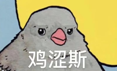这是一张卡通风格的图片，主体是一只灰色小鸟的特写。小鸟有着圆润的头部，黑色的圆眼睛，粉色的短喙，表情略带羞涩和困惑。背景为明亮的黄色，下方有醒目的白色文字“鸡涩斯”。该文字是谐音梗，将“耶稣”（Jesus）谐音为“鸡涩斯”，结合“鸡”（鸟的形象）和“涩”（羞涩）创造出幽默效果，整体风格呆萌搞笑。