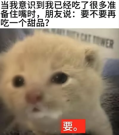 这是一张趣味表情包，采用顶配底文的图文混排形式，顶部配文描述场景：“当我意识到我已经吃了很多准备住嘴时，朋友说：要不要再吃一个甜品？”，下方主体是一只模糊的浅米色小猫，睁着圆溜溜的大眼睛神态懵懂，右下角红色方框内用白色字体配了简单的一个“要。”，生动诙谐地表现出本打算控制饮食，但面对甜品邀请瞬间放弃抵抗、欣然同意的心态，精准戳中广大吃货面对美食诱惑时的真实反应，十分有共鸣感。