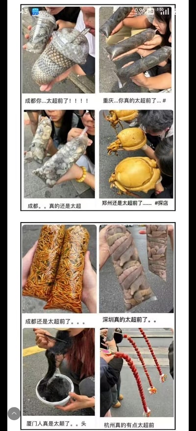 这是一张包含8张图片的竖版拼贴，每张图片展示不同城市的人手持造型奇特的饮品或食物：成都有蛇皮纹理杯装饮品、面条状袋装食物；重庆有黑色长条状饮品；郑州有黄色甲壳虫造型食物；深圳有类似器官纹理的袋装物；厦门有人将黑色长条状物体倒入碗中；杭州有红色串状食物。每张图片下方配有“[城市]真的太超前了”等文字，通过夸张的视觉冲击和统一的吐槽文案，调侃各地出现的猎奇美食现象，营造出幽默搞笑的效果。