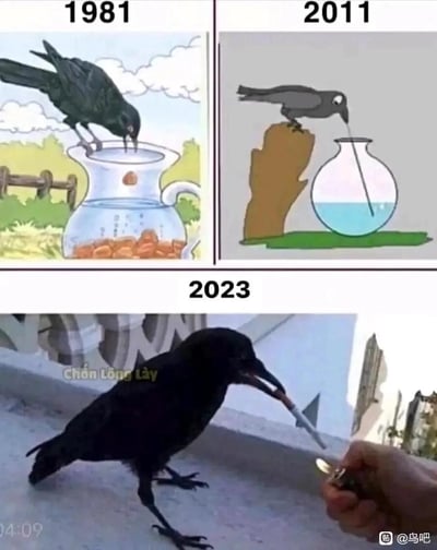 这是一张由三张不同年份的图拼接而成的搞笑梗图，解构经典寓言《乌鸦喝水》制造反差笑点：
1. 1981年的图是小学课本里的经典插画，乌鸦正往瓶子里丢石子，靠抬高水位来喝水，是传统寓言里聪明的形象；
2. 2011年的图是网友改编的简化版，乌鸦直接用吸管喝水，显得“偷懒又聪明”；
3. 2023年的图是真实乌鸦叼着香烟，人类用打火机帮它点火，完全变成了一副“社会大哥”的模样，用这种一步步“放飞自我”的场景反差，调侃当下摆烂、放飞自我的状态，整体风格戏谑搞笑。