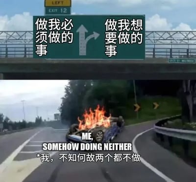 图片上半部分是绿色公路指示牌，左侧箭头标注'做我必须做的事'，右侧箭头标注'做我想要做的事'；下半部分是一辆在高速公路上侧翻着火的汽车，车旁文字为'ME, SOMEHOW DOING NEITHER *我，不知何故两个都不做'。通过对比指示牌的选择与汽车失控的结果，幽默地表达了既没做必须做的事、也没做想要做的事的无奈与崩溃状态。