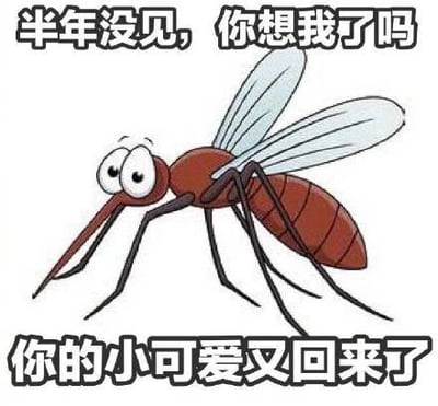 这是一张搞笑表情包，整体为白底构图，中间是卡通绘制的红棕色蚊子形象，眼睛圆睁呈期待神态，图片顶部配文「半年没见，你想我了吗」，底部配文「你的小可爱又回来了」。内容将人人厌恶的蚊子以「小可爱」的自称来表述，形成强烈反差感，调侃了夏季到来后蚊子重新出现、骚扰人们日常生活的常见情况，风格诙谐有趣，适合用来吐槽入夏后被蚊子叮咬的烦恼。