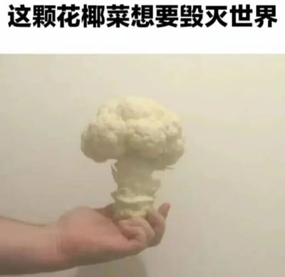 图片中一只手握着一颗花椰菜，花椰菜顶部蓬松的造型酷似核爆炸产生的蘑菇云。图片上方配有黑色加粗文字“这颗花椰菜想要毁灭世界”，通过将日常蔬菜的形态与“毁灭世界”的宏大叙事进行夸张关联，形成强烈的幽默反差效果。花椰菜本身是常见食材，其圆润饱满的外形被巧妙联想为灾难象征的蘑菇云，配合荒诞的文字描述，营造出无厘头的搞笑氛围。