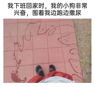 这是一张趣味图文混排图，上方配有文字“我下班回家时，我的小狗非常兴奋，围着我边跑边撒尿”，下方为第一人称视角的实拍照片：拍摄者穿着红灰相间的裤子和黑鞋，双脚站在红色地砖上，地砖上围绕着双脚的是小狗跑着撒尿留下的痕迹，这些痕迹恰好组成了类似“欢迎回家”的字样，用夸张且搞笑的方式，放大了宠物迎接下班主人时的兴奋状态，通过日常养狗的场景制造出荒诞的趣味效果，让人忍俊不禁。