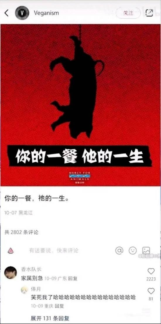 动物保护公益宣传海报