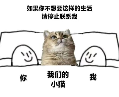 图片上方有文字“如果你不想要这样的生活 请停止联系我”，中间是一只抬头仰望的橘猫，猫的左右两侧各有一个简笔画风格的笑脸人物。图片下方从左到右分别标注“你”“我们的小猫”“我”。整体通过将真实猫咪照片与简笔画人物结合，以幽默方式暗示猫咪是两人关系中的“共同财产”，若停止联系则会失去这份“共享”。