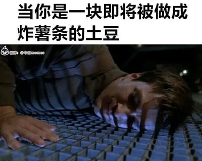 这是一张由影视截图改编的搞笑梗图，画面截取了电影中一名男性趴在格栅状平面上、表情痛苦绝望的场景，顶部配文“当你是一块即将被做成炸薯条的土豆”，将即将被制作成炸薯条的土豆拟人化，把土豆被放置在炸篮准备油炸的状态和图中男性的姿态关联起来，用拟人化的方式制造出荒诞搞笑的效果，生动表达出“土豆”即将被加工的绝望感。图片左下角带有微博账号@今日memes的水印。