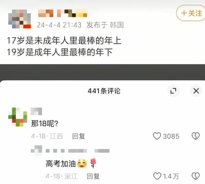 社交媒体截图展示了一则关于年龄的趣味讨论：帖子称“17岁是未成年人里最棒的年上，19岁是成年人里最棒的年下”，引发评论区互动。用户“那18呢？”的提问获得3085点赞，另一用户以“高考加油😊🌹”幽默回应（获1.4万点赞），暗指18岁学生正专注于高考。画面包含发帖时间（24-4-4）、地点（韩国）及评论区互动数据（441条评论）。