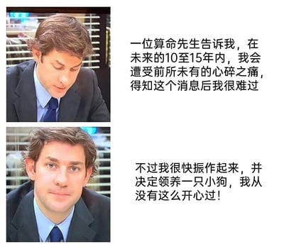 这是一张上下对比式的改编梗图，上半部分展示了一位穿着西装的男士低头神情低落的画面，配文讲述他得知算命先生说自己未来10到15年会遭受心碎之痛后十分难过；下半部分则是该男士抬头面带微笑、神情愉悦的画面，配文表示他很快振作起来，决定领养一只小狗，感到无比开心。这个梗的核心是温情反转：用户预判到心碎的原因是小狗的离世，却依然选择领养，以此表达对宠物相伴时光的珍视和对宠物的喜爱。