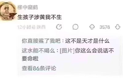 这是一张国内社交平台的用户动态截图，用户“柳中窥鹤”发布了内容“生孩子涉黄我不生”，该内容标注发布于陕西，距离截图时已发布12小时，获得了3578个点赞。下方展示了两条网友评论，分别是“你直接鲨了我吧：这不是天才是什么”和“这水能不喝么：[图片]你这么会说话不要命啦”，还可查看剩余86条评论。这条内容用夸张反讽的玩梗方式，调侃当下部分内容审核过度敏感的现象，将正常的生育行为和“涉黄”强行关联，以此吐槽审核标准的不合理，引发其他网友的搞笑回应，整体氛围轻松搞笑，充满网络玩梗的趣味。