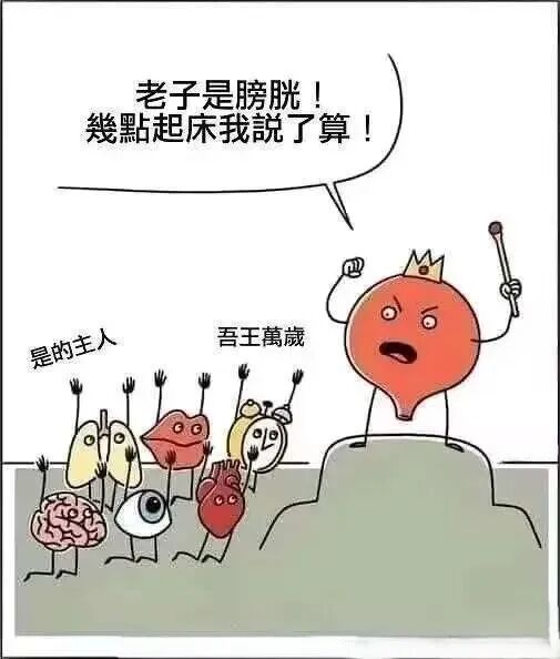 肺