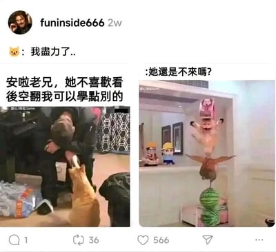 这是一张左右拼接的搞笑梗图，以拟人化的方式调侃了单方面讨好却得不到回应的心酸处境。左侧画面中，一只浅棕色狗狗拉着一位低头垂臂、神情低落的男子的手臂，配文“安啦老兄，她不喜欢看后空翻我可以学点别的”，表现出狗狗为了帮助男子讨得他人欢心，愿意学习新技能的卑微讨好姿态；顶部还有猫咪头像的评论“我尽力了..”，进一步烘托出付出却无回报的无奈。右侧画面则是一组从下到上堆叠的怪异物品：西瓜、鸟、猫咪玩偶、粉色猪头，配文“她还是不来吗？”，对应左侧的讨好行为，直白地显示出所有努力都没有换来想要的结果，整体画面用夸张、荒诞的表现手法，让心酸的处境变得滑稽好笑，引发有类似经历的人的共鸣。