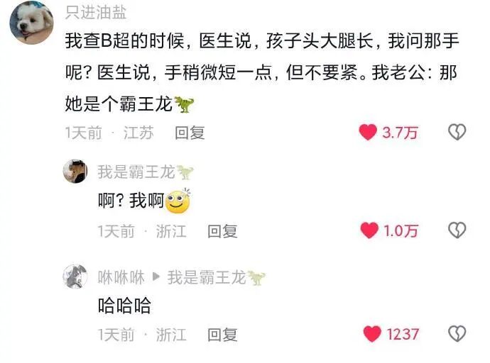 恐龙相关科普与影视内容