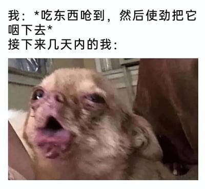 这张梗图通过文字和图片结合，幽默地表现了吃东西呛到后的经历。上方文字描述：'我：*吃东西呛到，然后使劲把它咽下去* 接下来几天内的我：'，下方是一张表情怪异的狗的照片，狗张着嘴，露出舌头，表情看起来有些痛苦和不适，形象地表现了呛到后几天身体的不适感。
