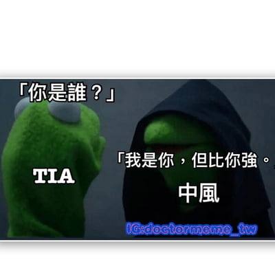图片中展示了两只绿色毛茸茸的青蛙角色面对面互动的场景。左侧青蛙眼睛较大，身体呈绿色，胸前标有“TIA”字样，面向右侧并问道：“你是谁？”。右侧青蛙戴着黑色兜帽，面部处于阴影中，同样为绿色，回应道：“我是你，但比你强。中风”。整体画面通过角色间的对话形成幽默对比，“比你强”与“中风”的搭配产生戏谑效果。
