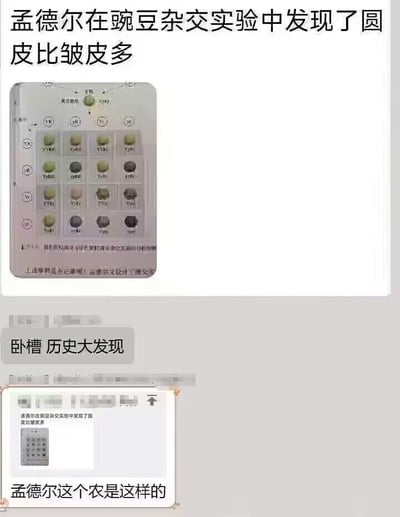 图片上方为黑色加粗文字“孟德尔在豌豆杂交实验中发现了圆皮比皱皮多”，中间是一张豌豆杂交实验的分析图解，包含多个标注不同基因型的豌豆图示及文字说明，下方配有灰色背景文字“卧槽 历史大发现”和白色背景文字“孟德尔这个农是这样的”。整体通过将严肃的生物学实验结论用口语化、调侃的方式呈现，形成幽默效果，属于结合 educational 内容的 meme 创作。
